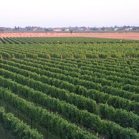 Tenuta La Rotta - & Pool Guest house