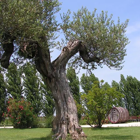 Guest house Tenuta La Rotta - & Pool Ravenna