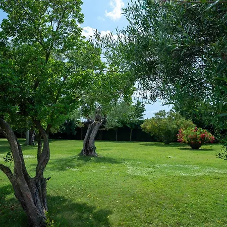 ゲストハウス Tenuta La Rotta - & Pool 4*